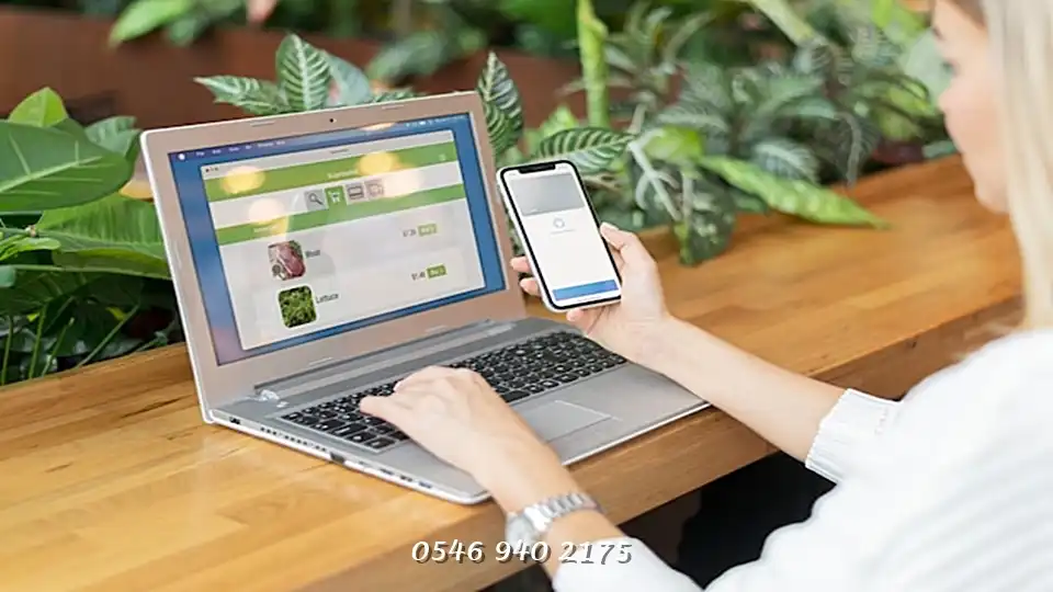 Samsun Ayvacık SEO Uyumlu Web Tasarım