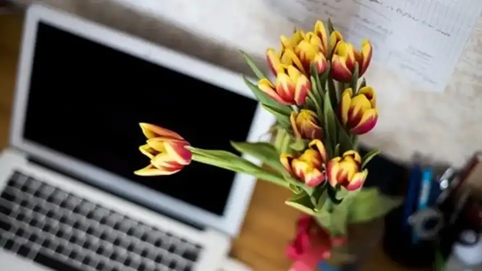 Web Tasarım, Web Sitesi, ucuz web sitesi, web site fiyatları,web site tasarım hizmeti,