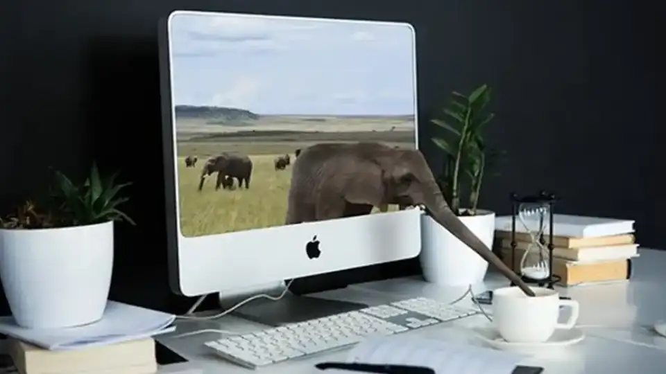 Seo Hizmeti, arama motorlarında öne çıkmak, google da nasıl öne çıkarım, google da ilk sırada çıkmak,seo firmaları,